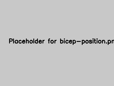 Bicep curl position diagram